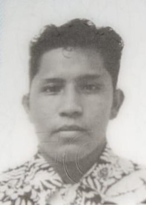 User Image