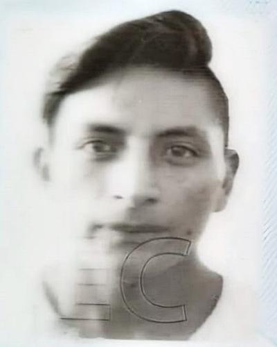 User Image